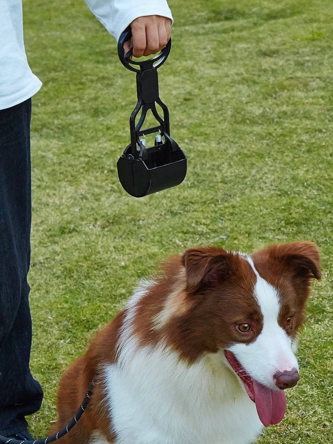 1pc Solid Pet Poop Picker