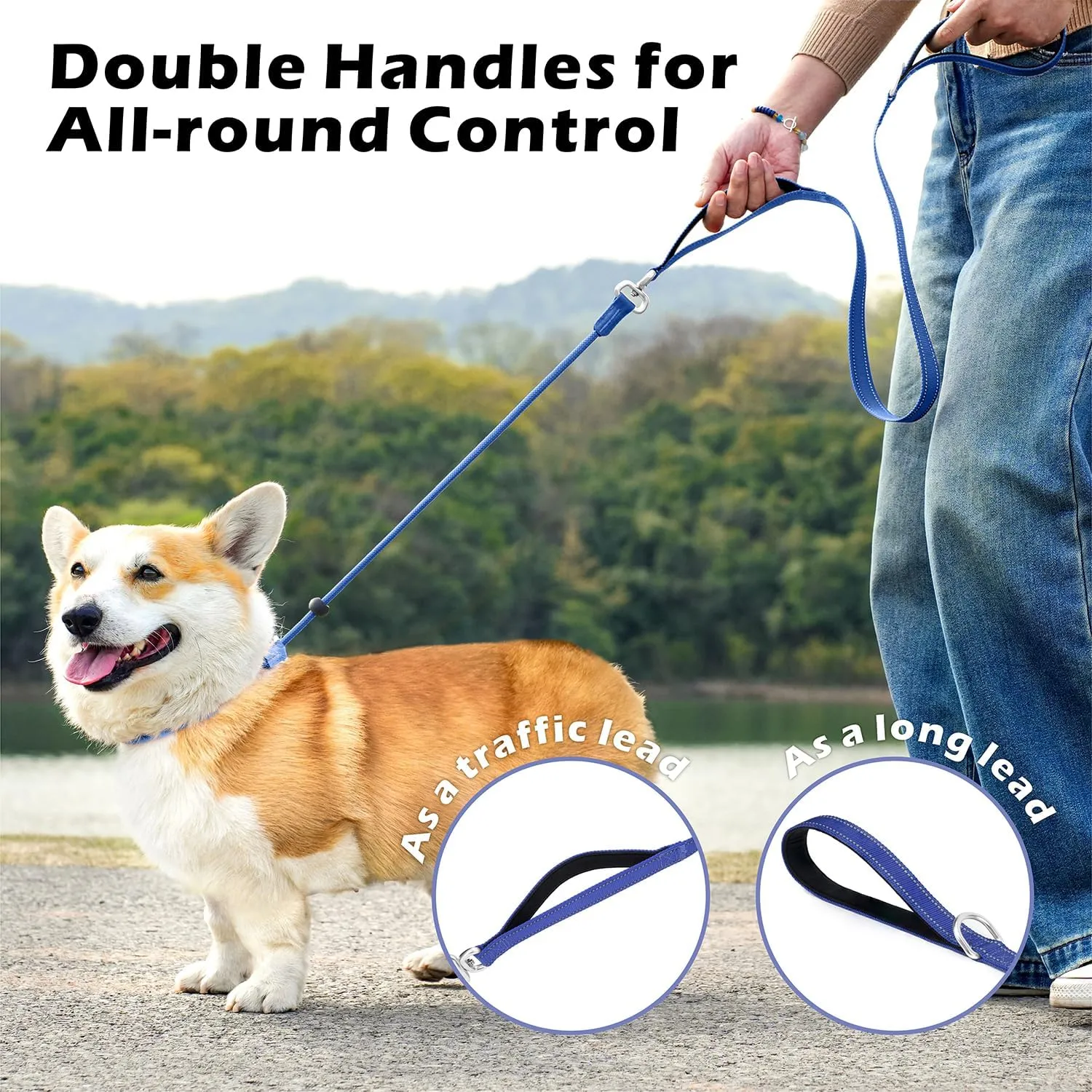 6FT Slip Lead Dog Leash with Double Padded Handle, Anti-Tangle Slip Leads for Dogs, Reflective Nylon No-Pull Training Leash for Small Medium Dogs, Navy Blue