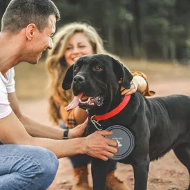 Adventure-Ready Collapsible Silicone Pet Bowl: The Ultimate Travel Feeder for Active Dogs