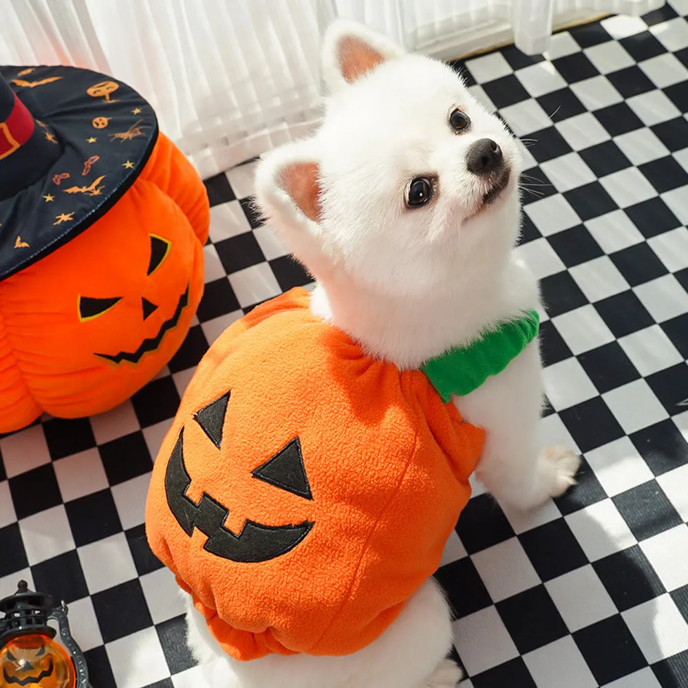 Autumn & Winter Dog Halloween Christmas Pumpkin Lantern Costume | Funny Cat Two-Legged Pet Clothes | Teddy Dog Outfit