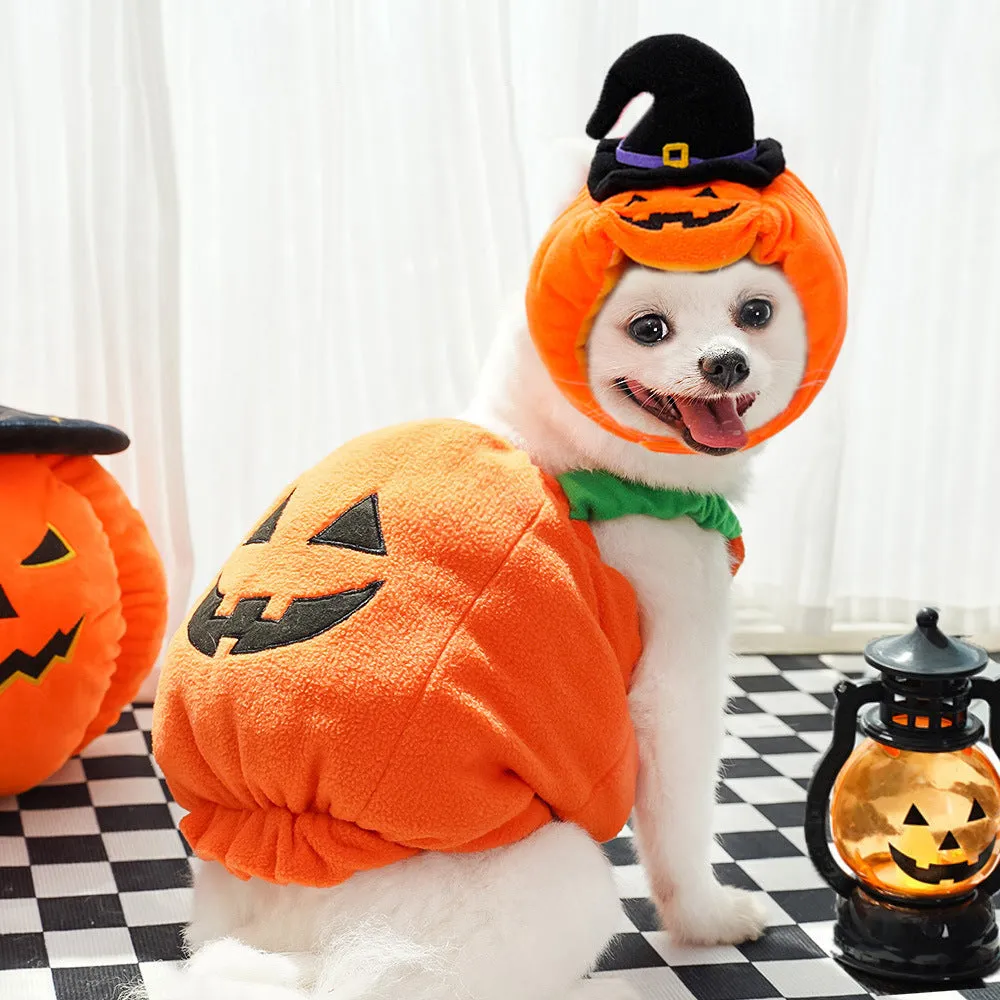 Autumn & Winter Dog Halloween Christmas Pumpkin Lantern Costume | Funny Cat Two-Legged Pet Clothes | Teddy Dog Outfit