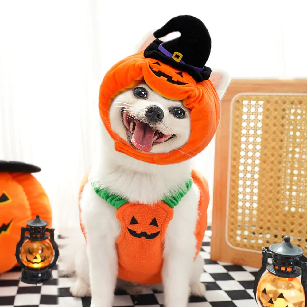 Autumn & Winter Dog Halloween Christmas Pumpkin Lantern Costume | Funny Cat Two-Legged Pet Clothes | Teddy Dog Outfit