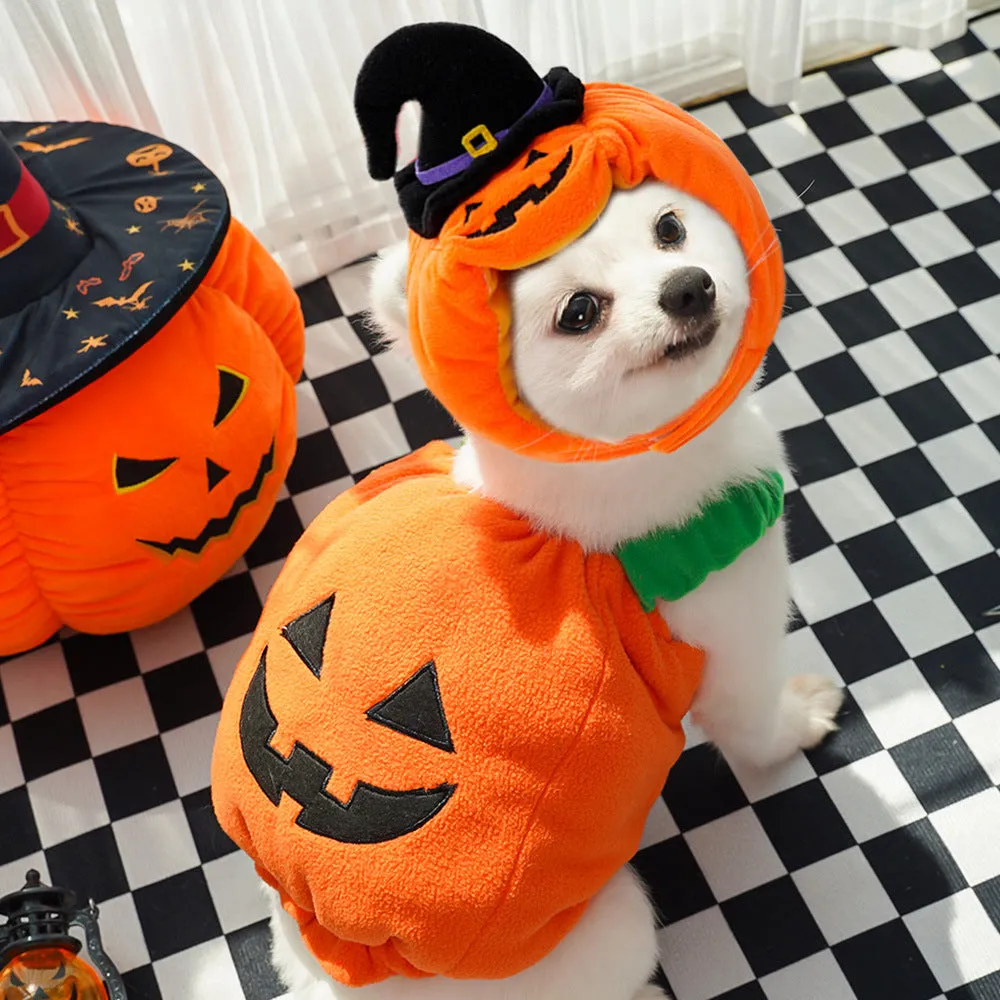 Autumn & Winter Dog Halloween Christmas Pumpkin Lantern Costume | Funny Cat Two-Legged Pet Clothes | Teddy Dog Outfit