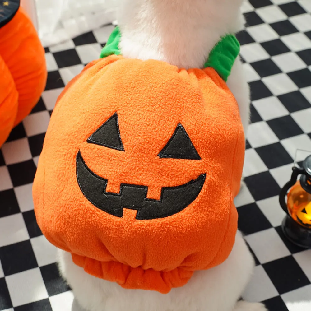 Autumn & Winter Dog Halloween Christmas Pumpkin Lantern Costume | Funny Cat Two-Legged Pet Clothes | Teddy Dog Outfit
