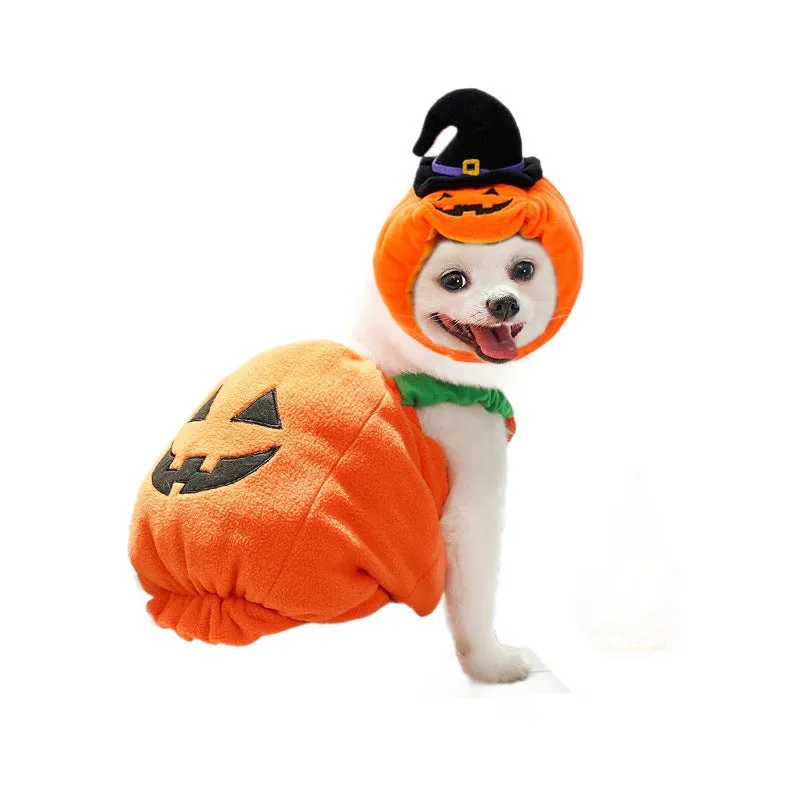 Autumn & Winter Dog Halloween Christmas Pumpkin Lantern Costume | Funny Cat Two-Legged Pet Clothes | Teddy Dog Outfit