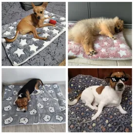 Best Dog Cat Soft Fleece Blanket Comfiest Bed Thickened Pad Mat Blanket