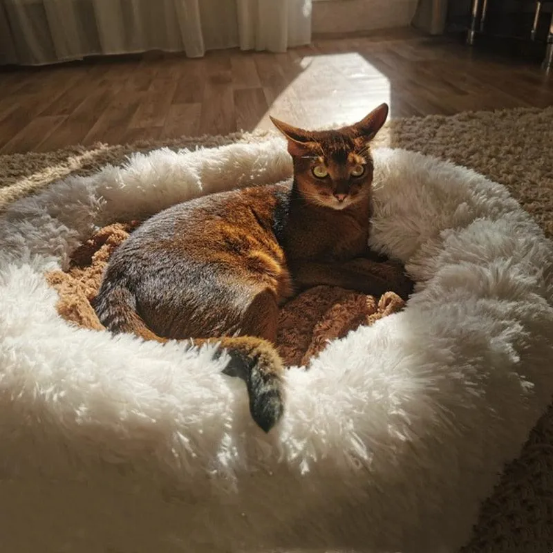 Calming Pet Bed