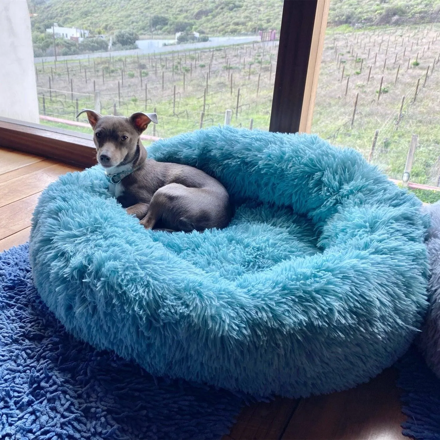 Calming Pet Bed