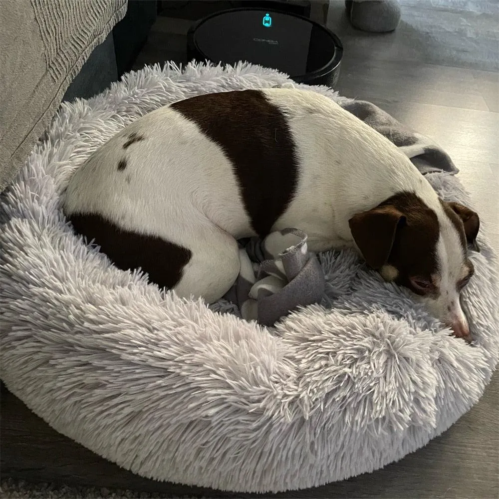 Calming Pet Bed