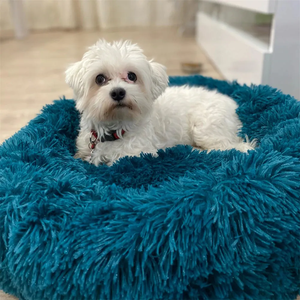 Calming Pet Bed