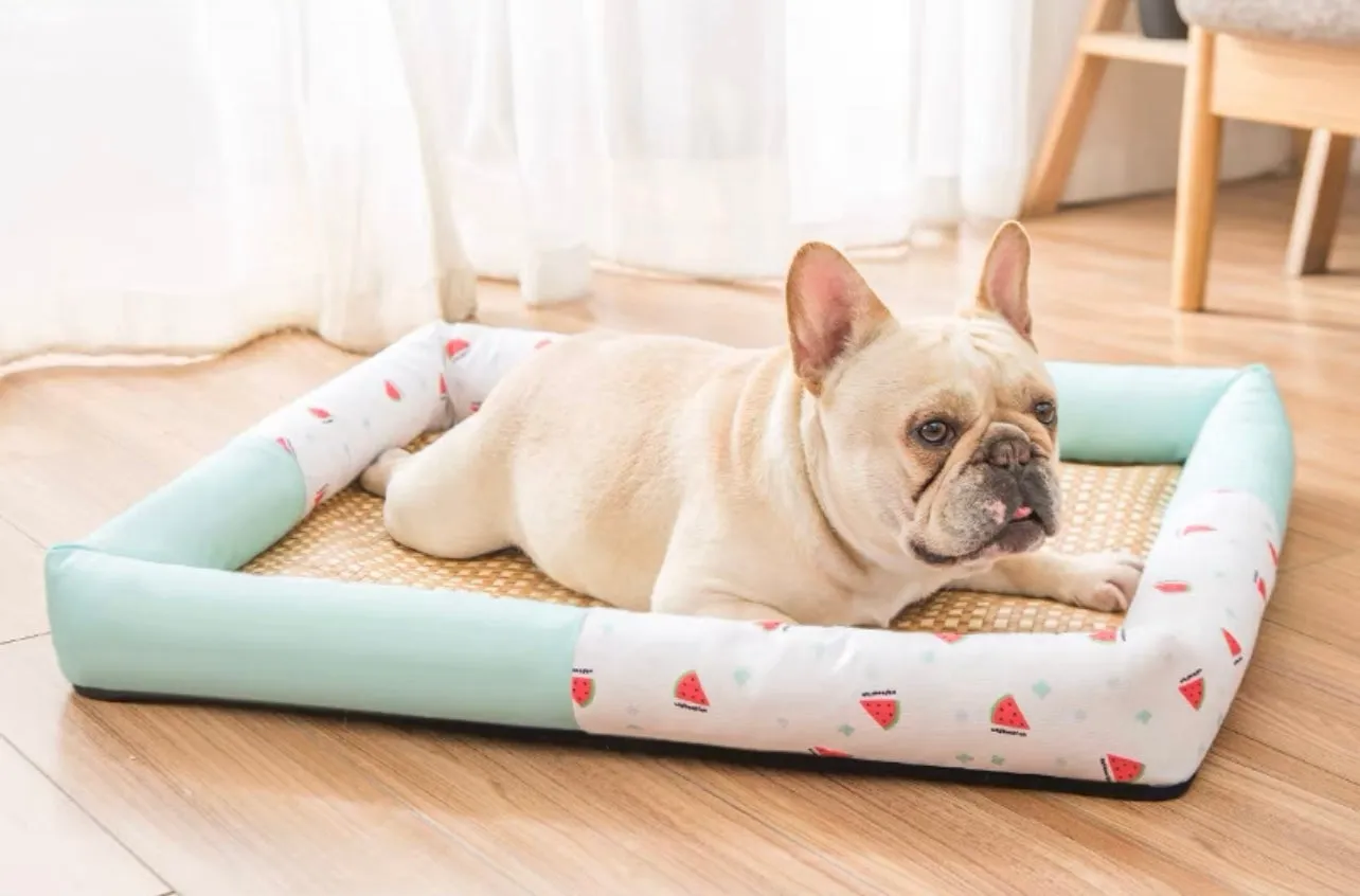 Cat and Dog Summer Cooling Bed, Watermelon Flax Mat