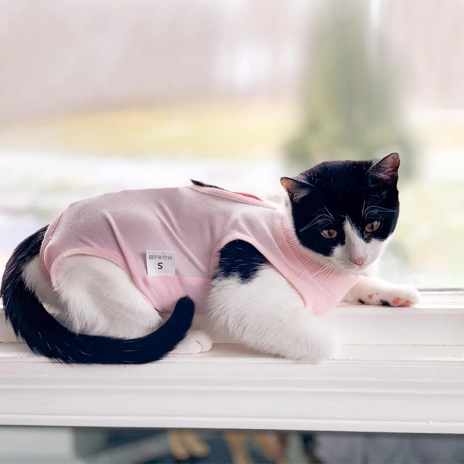 Cat Recovery Suit for Male and Female Surgical Post Surgery Soft Cone Onesie Shirt Clothes Neuter Licking Protective Diapers Outfit Cover Kitten Spay Collar(S, Pink)