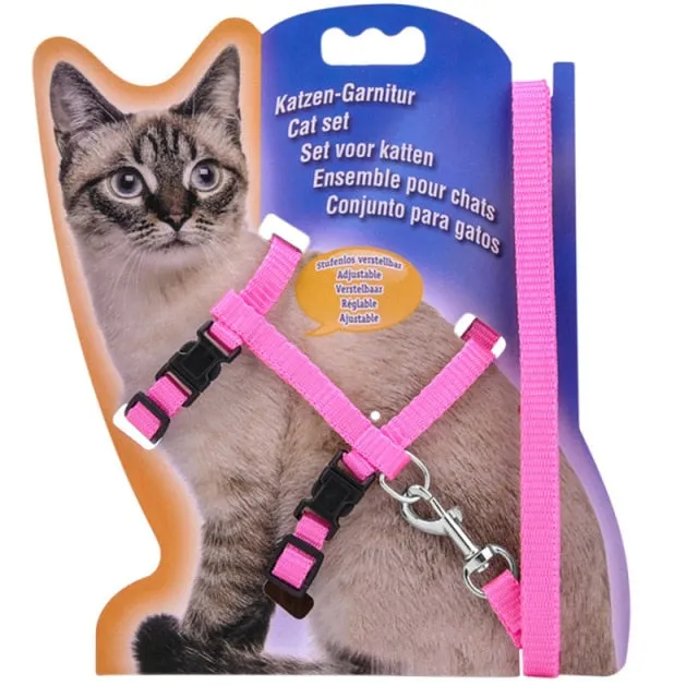 Cozy Nylon Kedi Harness Leash