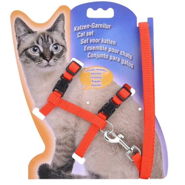Cozy Nylon Kedi Harness Leash
