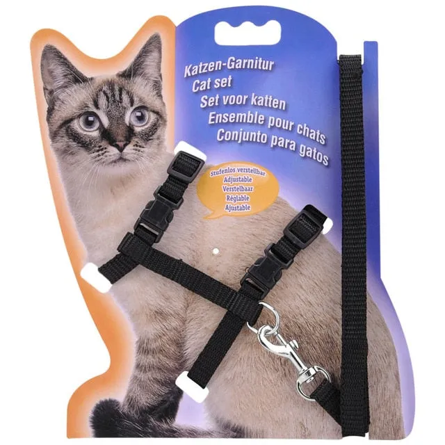 Cozy Nylon Kedi Harness Leash