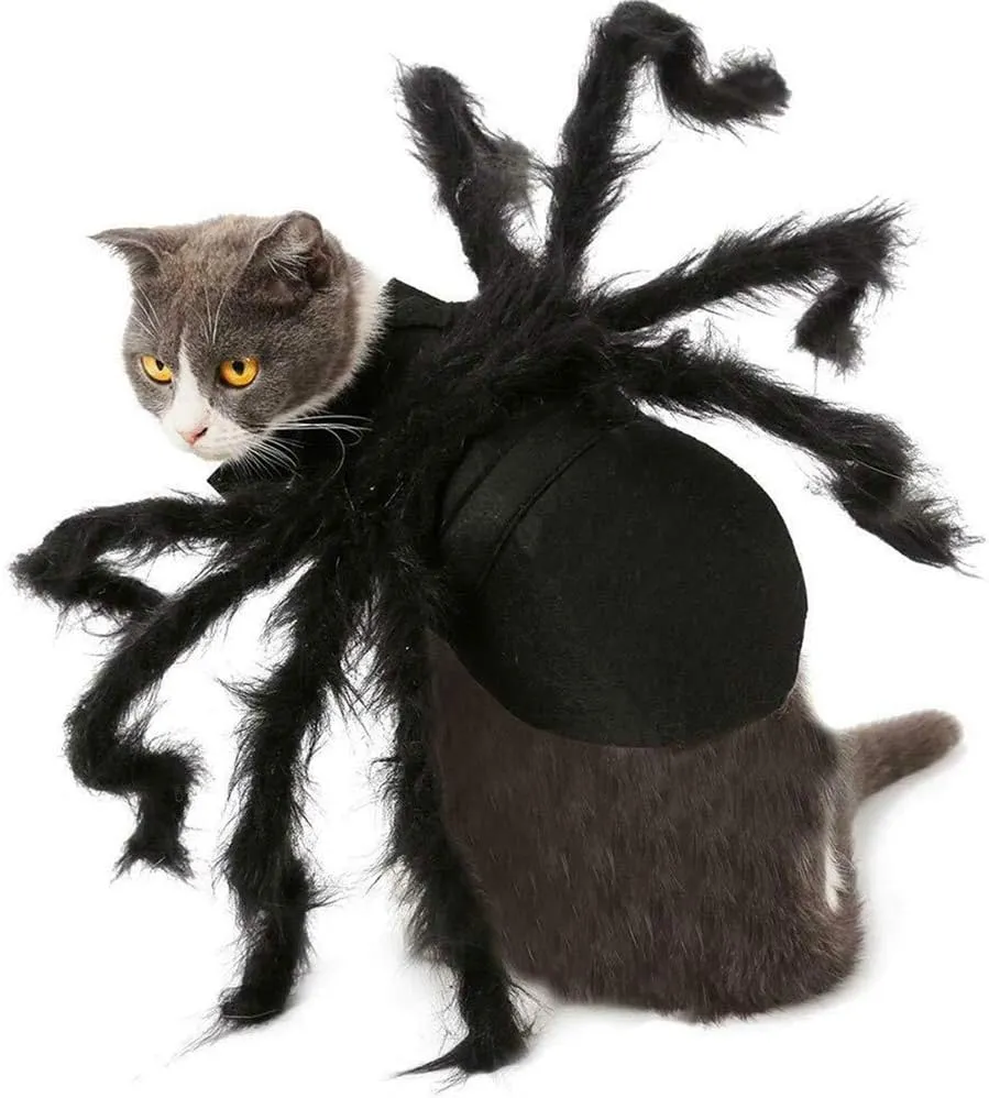 Dog Cat Spider Costume for Halloween Party Decoration, Halloween Cosplay Costumes for Small Dogs and Cat, Puppy Dress Up Accessories