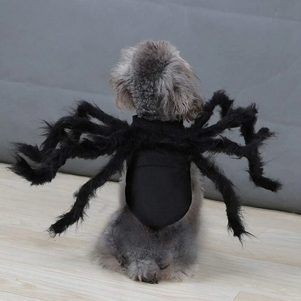 Dog Cat Spider Costume for Halloween Party Decoration, Halloween Cosplay Costumes for Small Dogs and Cat, Puppy Dress Up Accessories