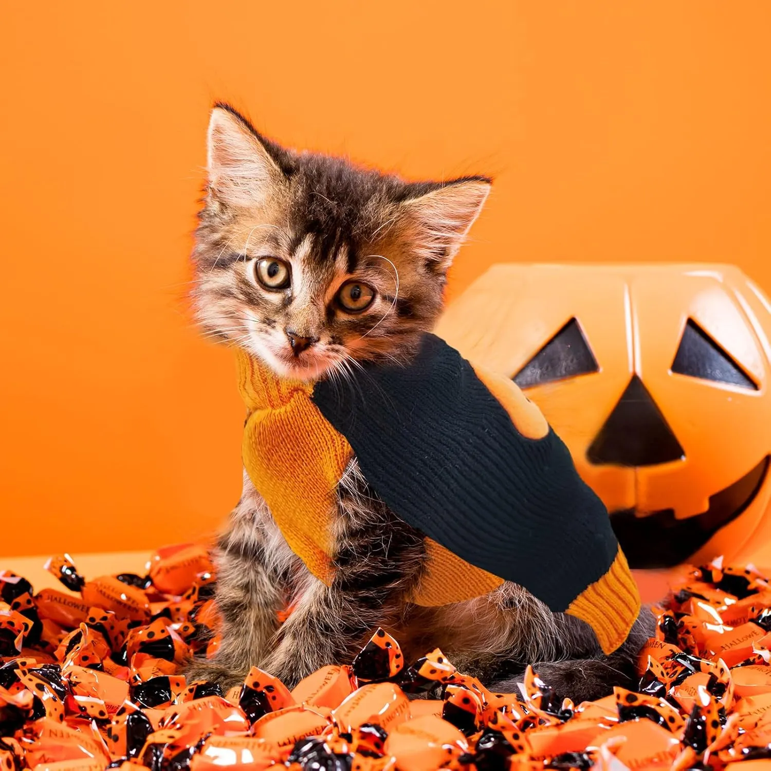 Dog Halloween Sweater Pumpkin Halloween Dog Cat Costumes with Leash Hole Puppy Turtleneck Knitwear for Small Midum Large Dogs Winter Warm Pet Clothes Funny Holiday Party Outfit (Black,S)