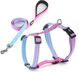 Dog Harness Leash Set, No Pull Adjustable Halter Cute Comfort Padded Handle for Medium Sized Large Small Dogs Walking Training Running with ReflectiveXSmall,Red Blue Dog Harness Leash Set, No Pull Adjustable Halter Cute Comfort Padded Handle for Medium Sized Large Small Dogs Walking Training Running with ReflectiveXSmall,Red Blue