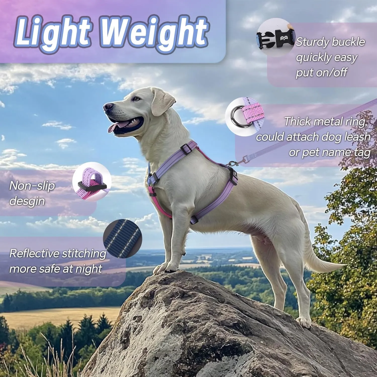 Dog Harness Leash Set, No Pull Adjustable Halter Cute Comfort Padded Handle for Medium Sized Large Small Dogs Walking Training Running with ReflectiveXSmall,Red Blue