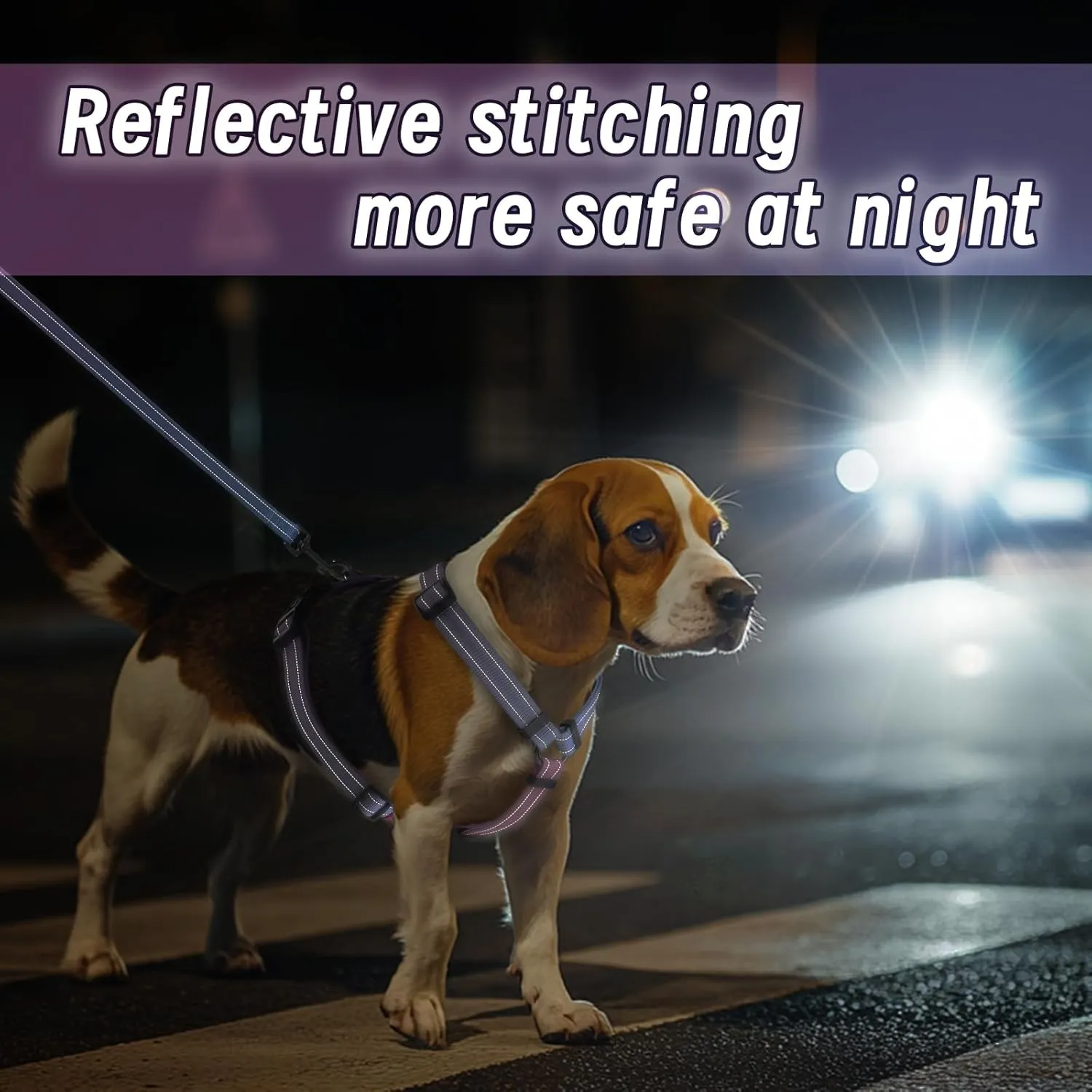 Dog Harness Leash Set, No Pull Adjustable Halter Cute Comfort Padded Handle for Medium Sized Large Small Dogs Walking Training Running with ReflectiveXSmall,Red Blue