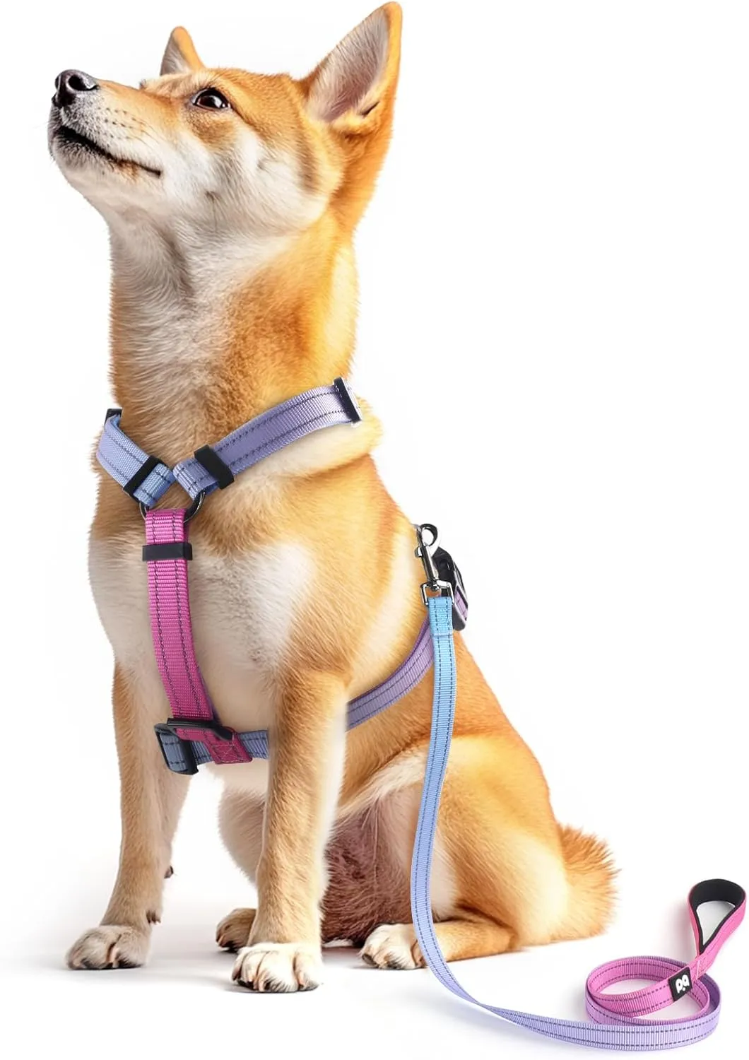 Dog Harness Leash Set, No Pull Adjustable Halter Cute Comfort Padded Handle for Medium Sized Large Small Dogs Walking Training Running with ReflectiveXSmall,Red Blue