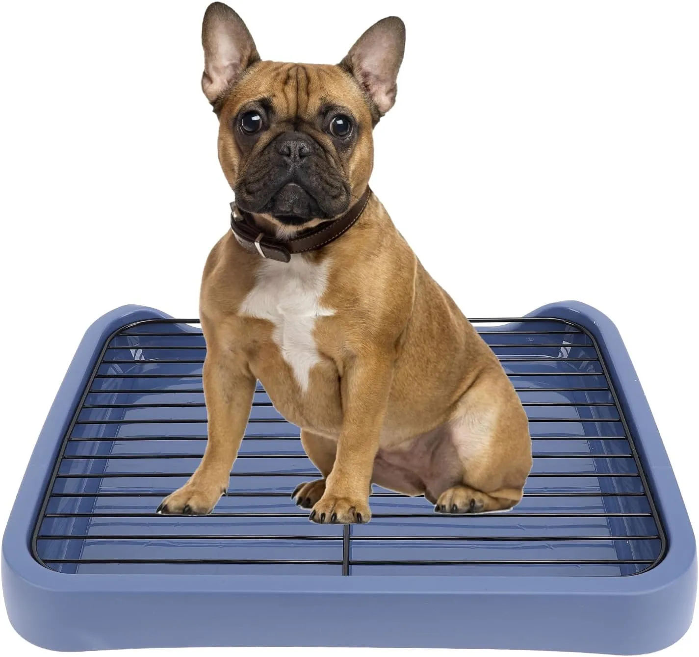 Dog Potty Tray, 18x14in Pet Indoor Dog Training Toilet with Grille, Removable Mesh, Puppy Potty Tray Pee Pad Holder for Large Small Medium Pets