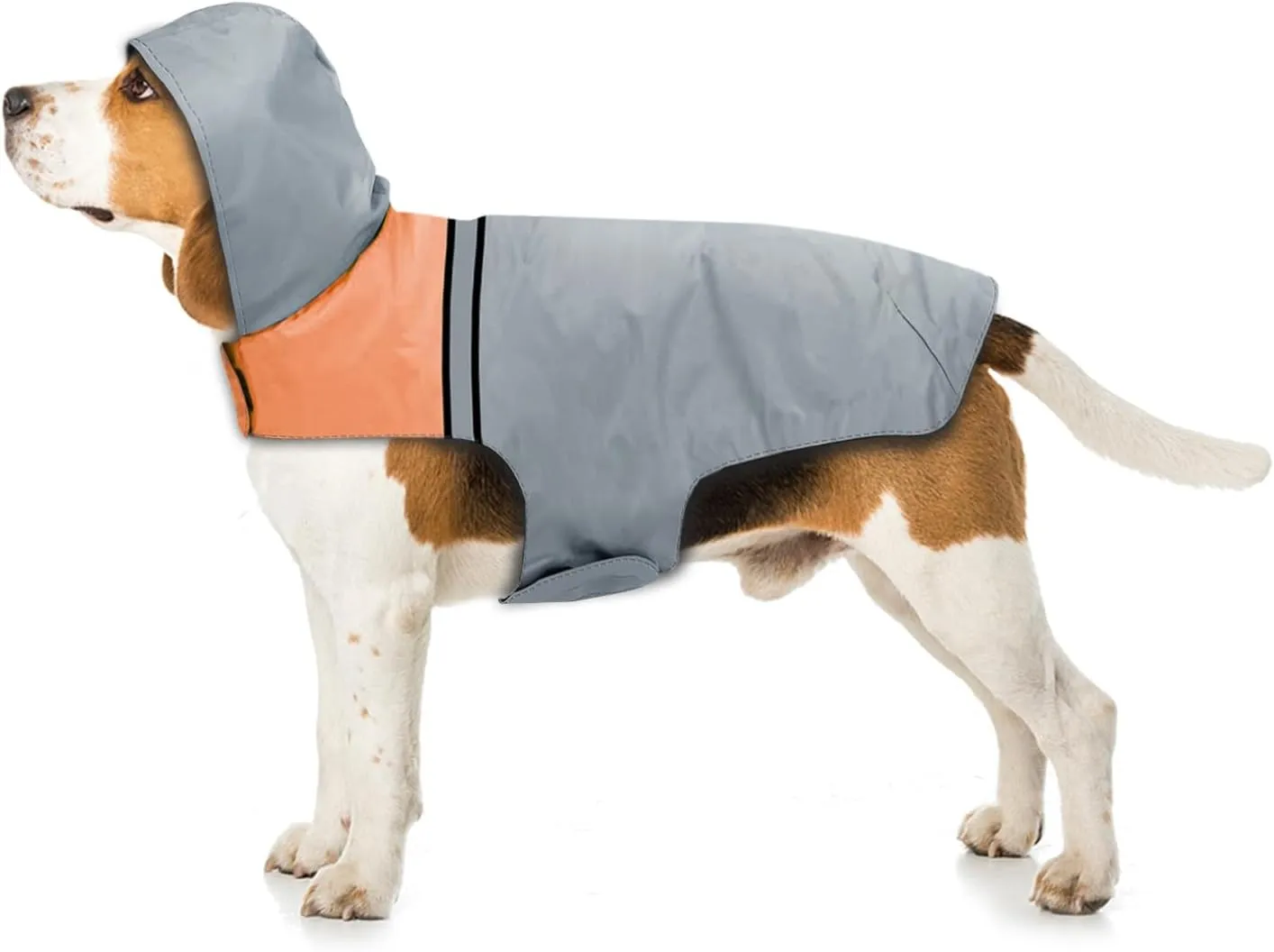 Dog Raincoat with Reflective Strip, Ultra Light Breathable Waterproof Dog Rain Jacket, Adjustable Waterproof Dog Raincoat with Hood, Suitable for Small, Medium, and Large Dogs (Grey, M)