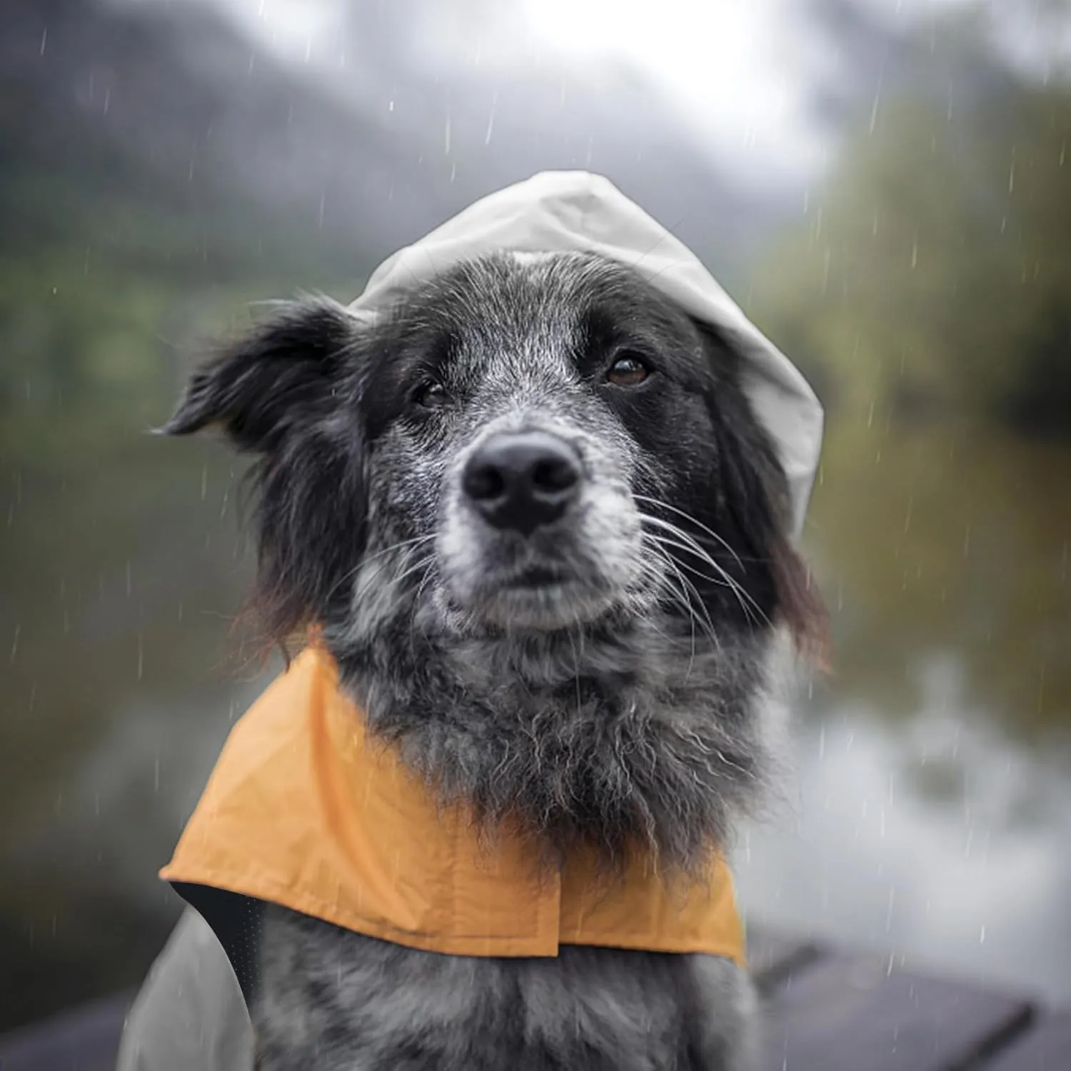 Dog Raincoat with Reflective Strip, Ultra Light Breathable Waterproof Dog Rain Jacket, Adjustable Waterproof Dog Raincoat with Hood, Suitable for Small, Medium, and Large Dogs (Grey, M)