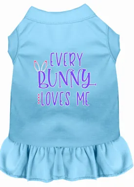 Every Bunny Loves Me Screen Print Dog Dress Baby Blue Xxl (18)