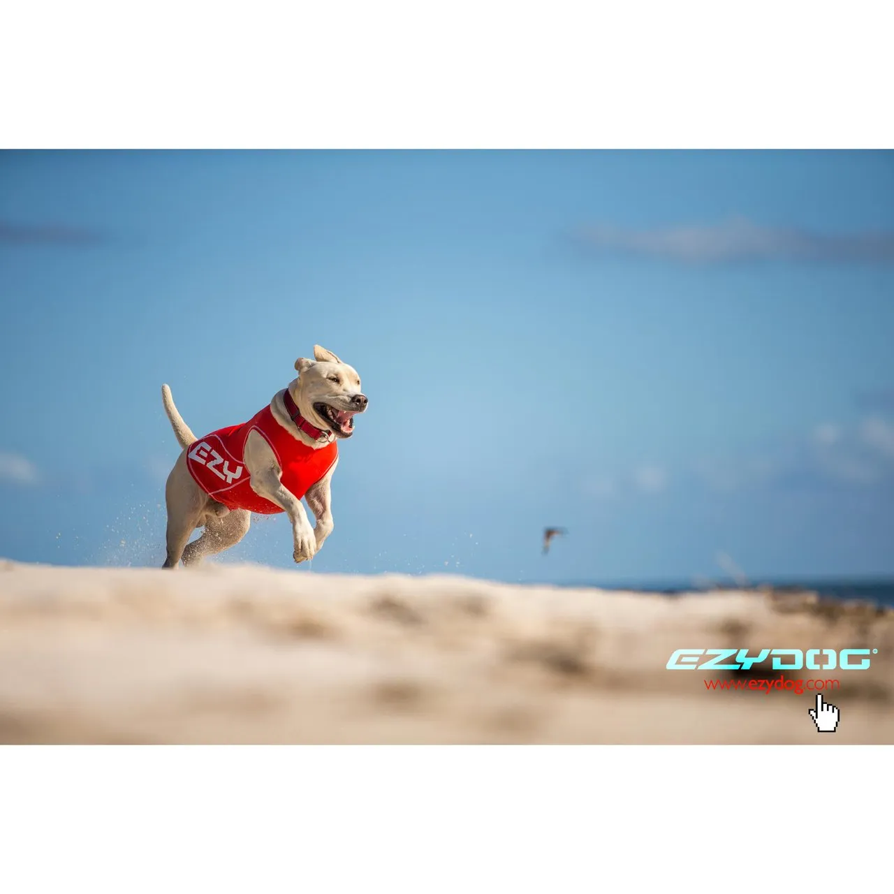EzyDog Dog Rashie 50  UV Large^^^