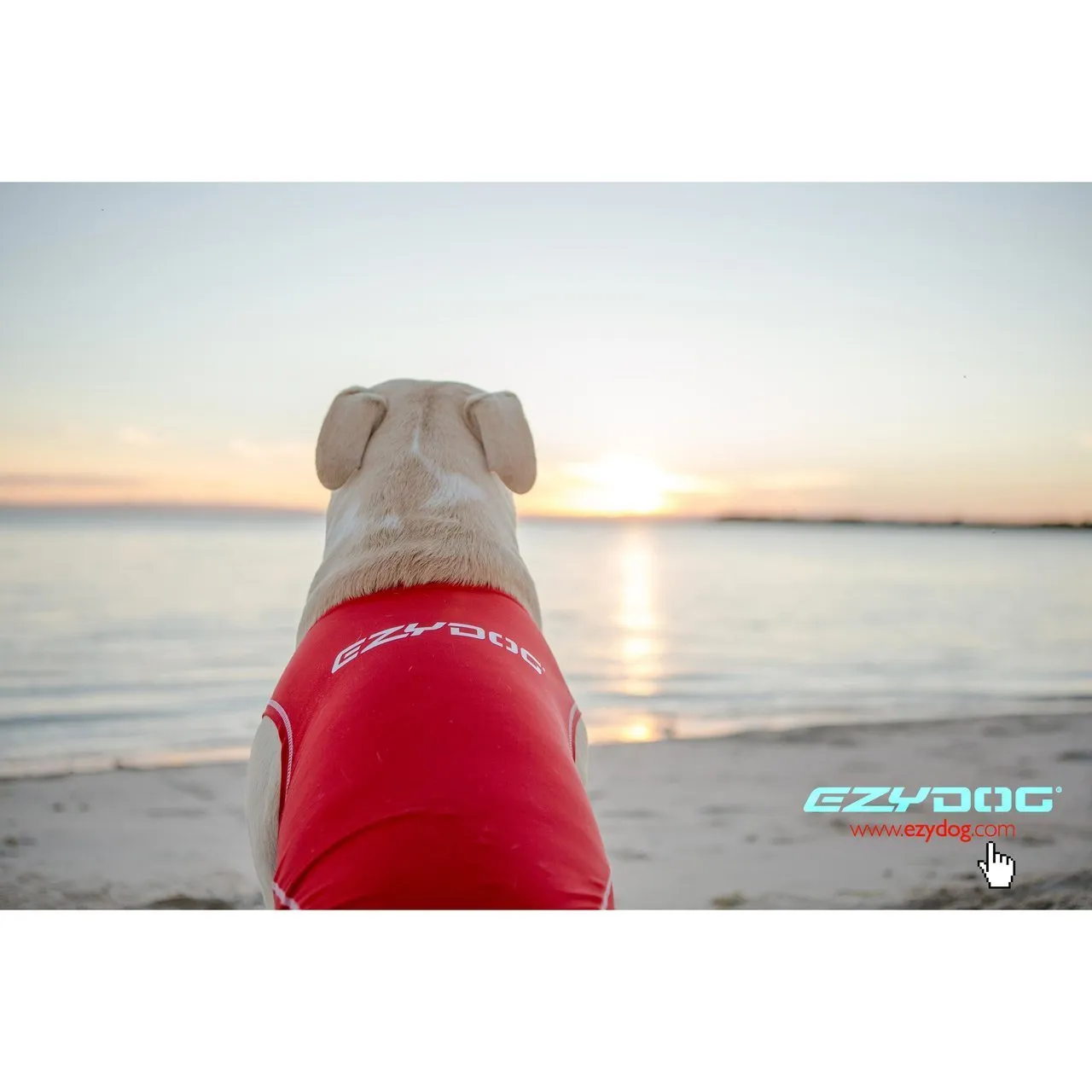 EzyDog Dog Rashie 50  UV Large^^^