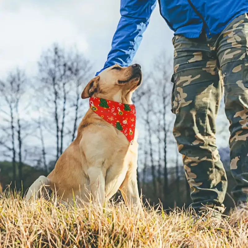 Festive Christmas Tree Dog Bandana for Your Favorite Pet