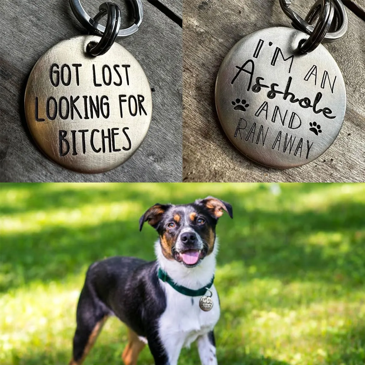 Funny Dog Tag, Stainless Steel Pet Tag, Personalized Got Lost Dog Collar Tag Puppy Tag Pet ID Tag, Pet Cat & Dog Collar Charm Gift for Dog Cats Owner Dog Lover (I'm an asshole)