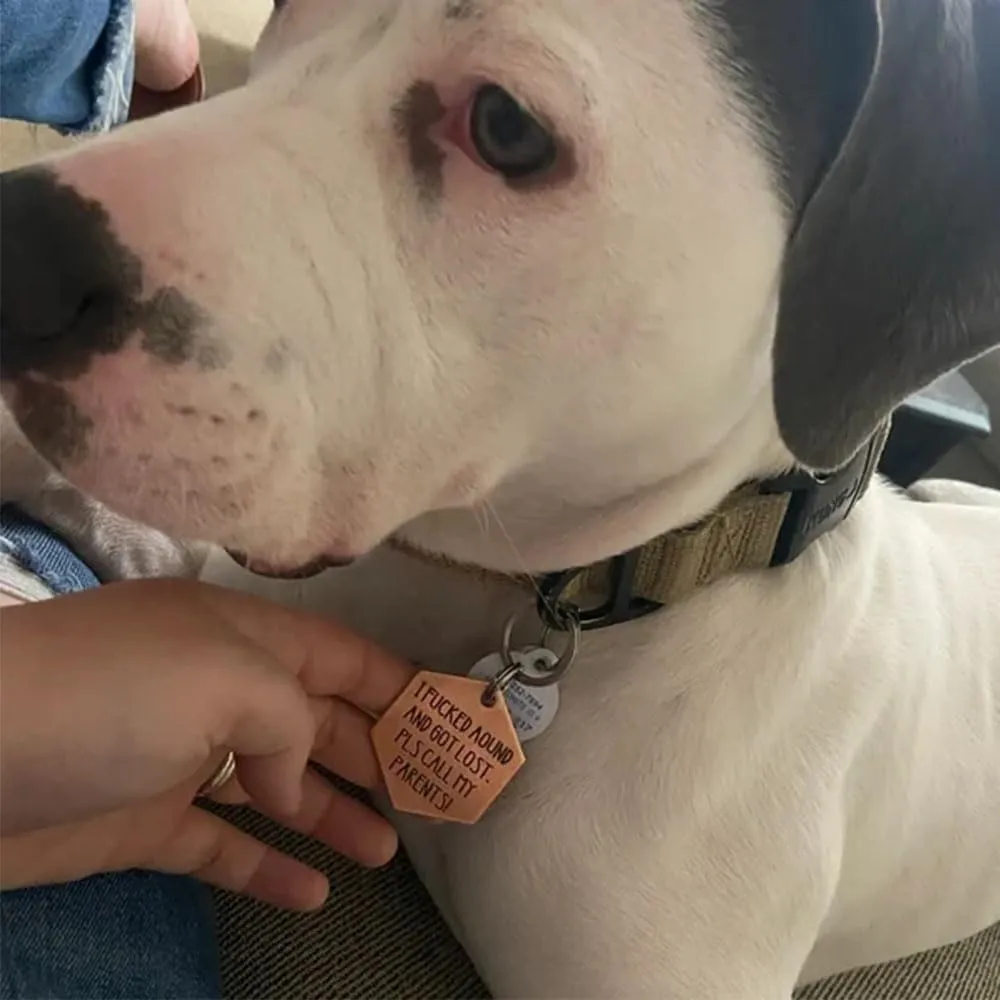 Funny Dog Tag, Stainless Steel Pet Tag, Personalized Got Lost Dog Collar Tag Puppy Tag Pet ID Tag, Pet Cat & Dog Collar Charm Gift for Dog Cats Owner Dog Lover (I'm an asshole)