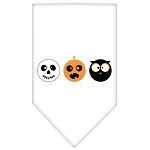 Halloween Pet and Dog Bandana Screen Printed, "The Spook Trio"
