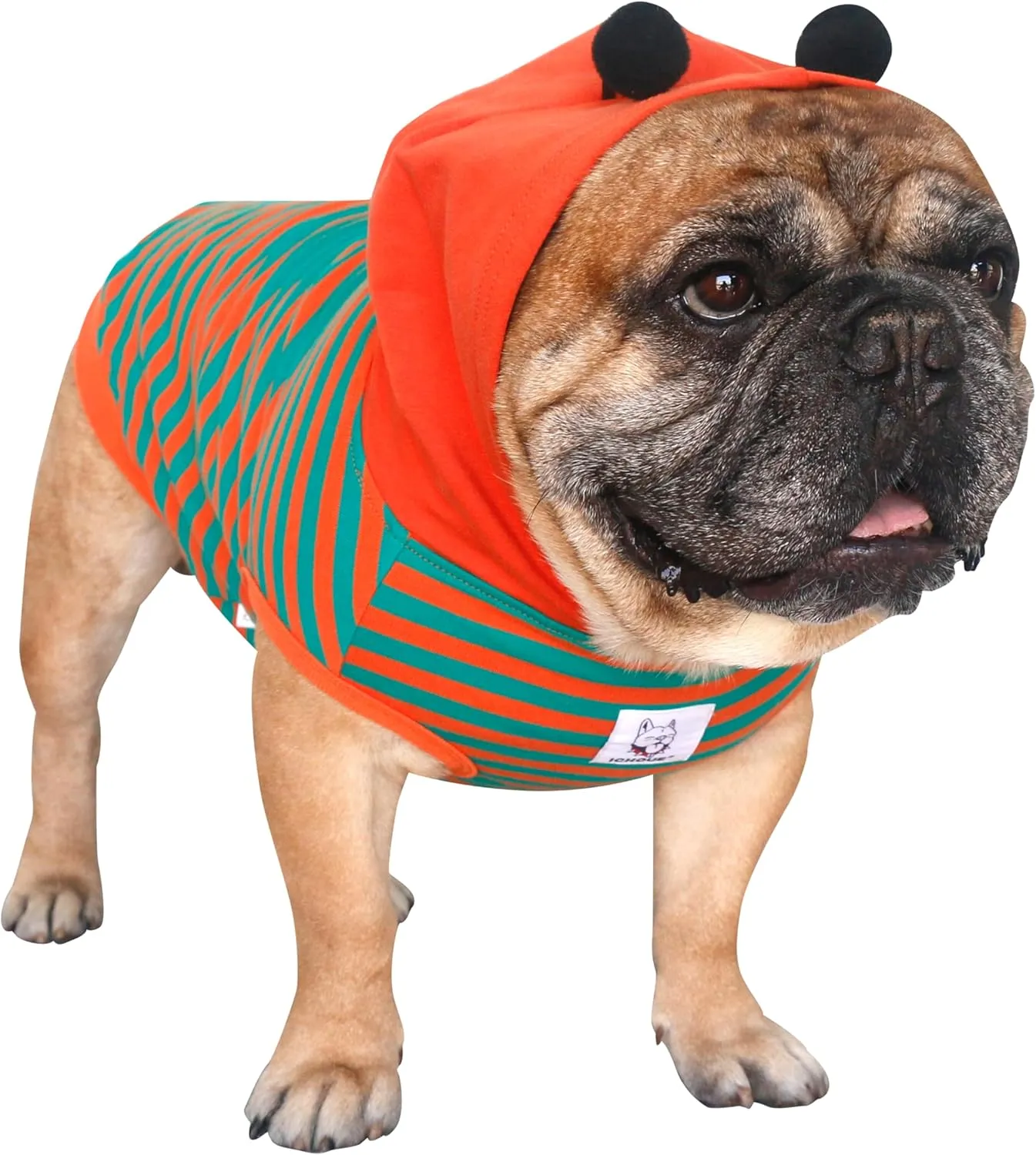 iChoue I am a French Bulldog Bumble Bee Costumes Clothes Hoodies Shirts Vest for Medium Dogs Cold Weather Winter Coats Frenchie English Pug Pitbull Boston Terrier - Orange Green, Large