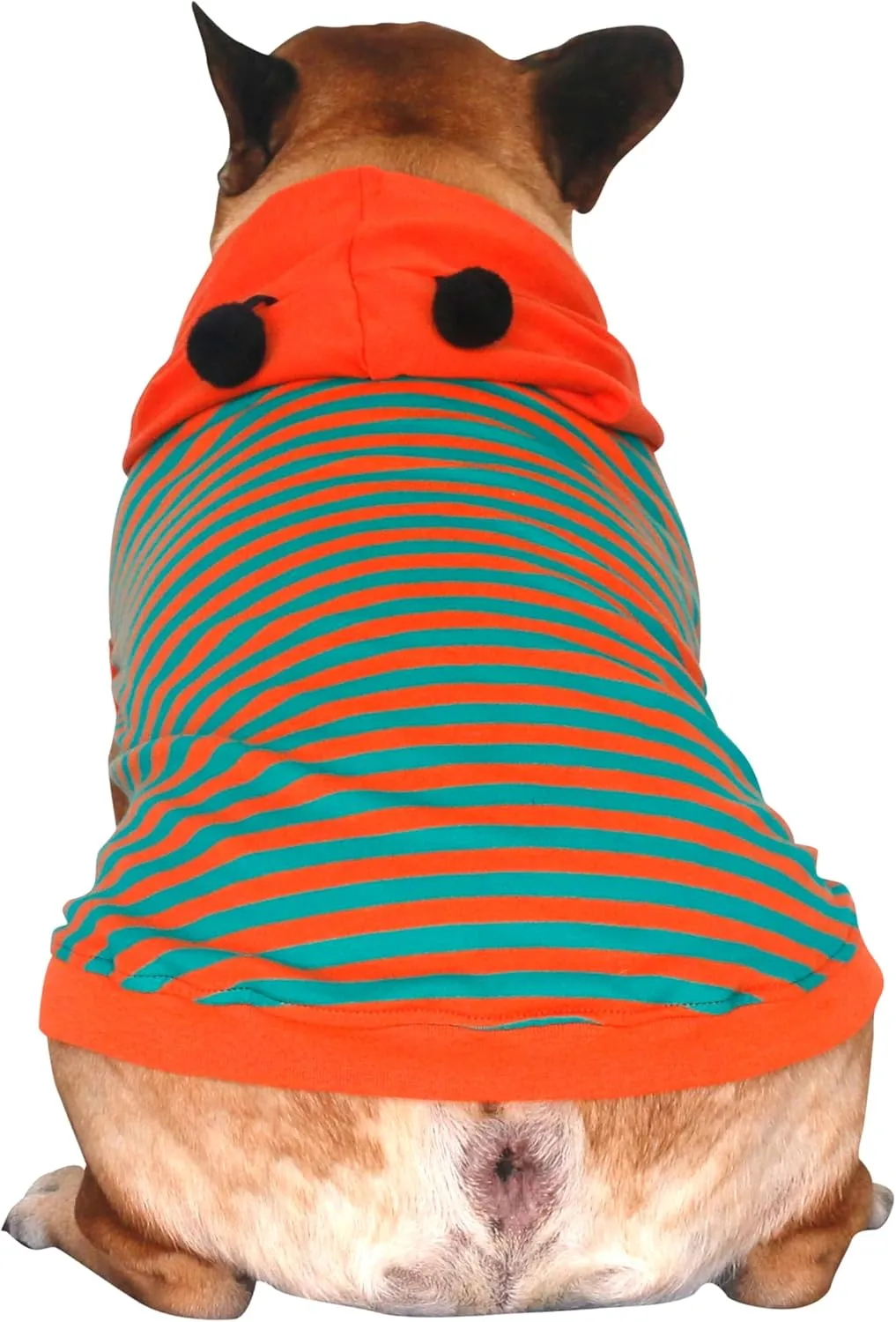 iChoue I am a French Bulldog Bumble Bee Costumes Clothes Hoodies Shirts Vest for Medium Dogs Cold Weather Winter Coats Frenchie English Pug Pitbull Boston Terrier - Orange Green, Large