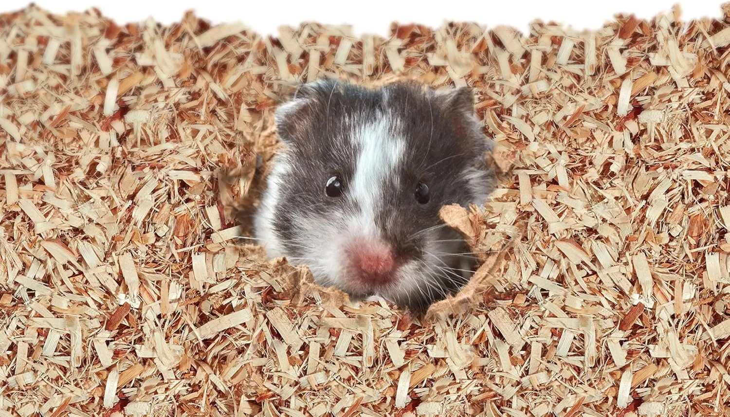 Kaytee Aspen Small Animal Pet Bedding For Pet Guinea Pigs, Rabbits, Hamsters, Gerbils, and Chinchillas, 52.4 Liters