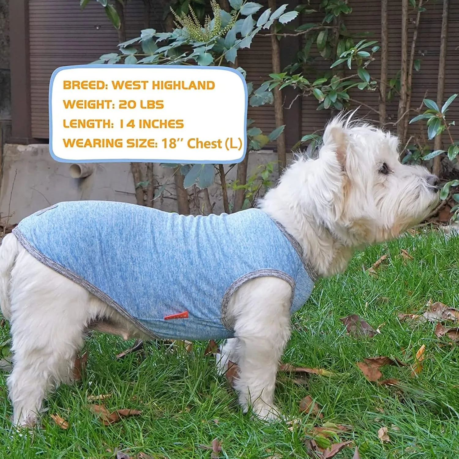 KYEESE 2 Pack Dog Shirts Quick Dry Soft Stretchy Pet T-Shirts with Reflective Label Tank Top Sleeveless Vest Sun Protection Dog Clothes for Small Dogs, Small, Light Blue Grey