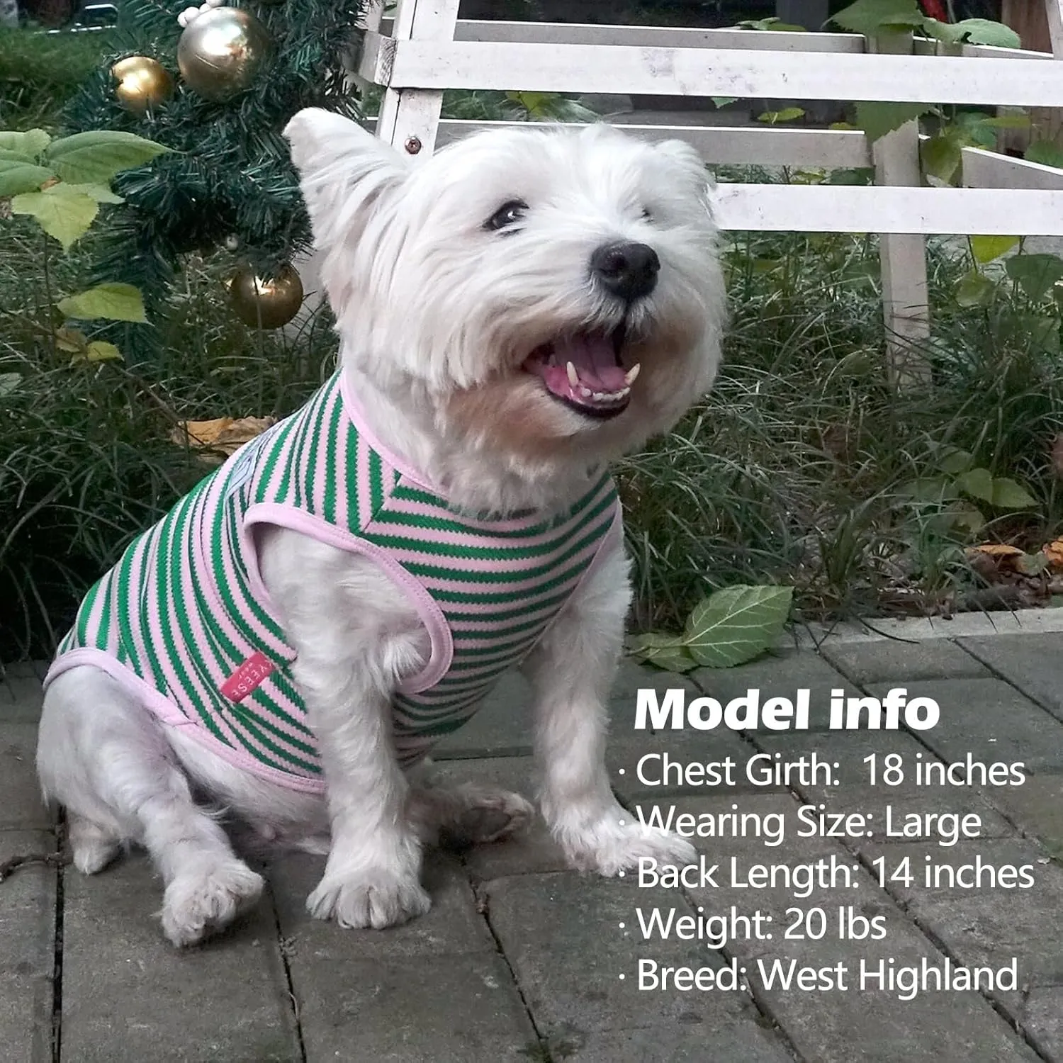 KYEESE 2Pack Dog Shirts Striped for Small Dogs Soft Stretchy Dog T-Shirts Lightweight Tank Top Sleeveless Vest Breathable Pet Apparel, Large, Green Pink