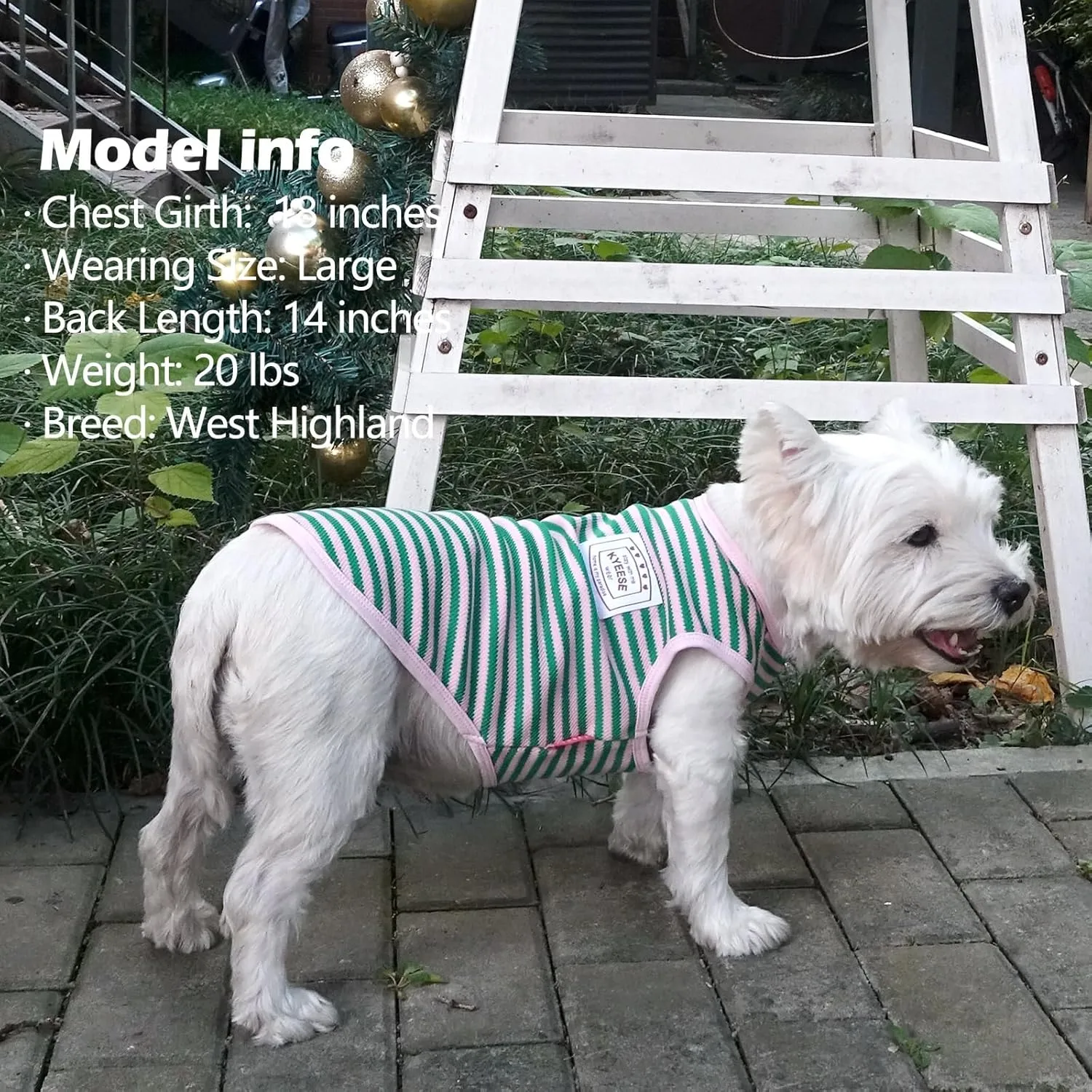 KYEESE 2Pack Dog Shirts Striped for Small Dogs Soft Stretchy Dog T-Shirts Lightweight Tank Top Sleeveless Vest Breathable Pet Apparel, Large, Green Pink