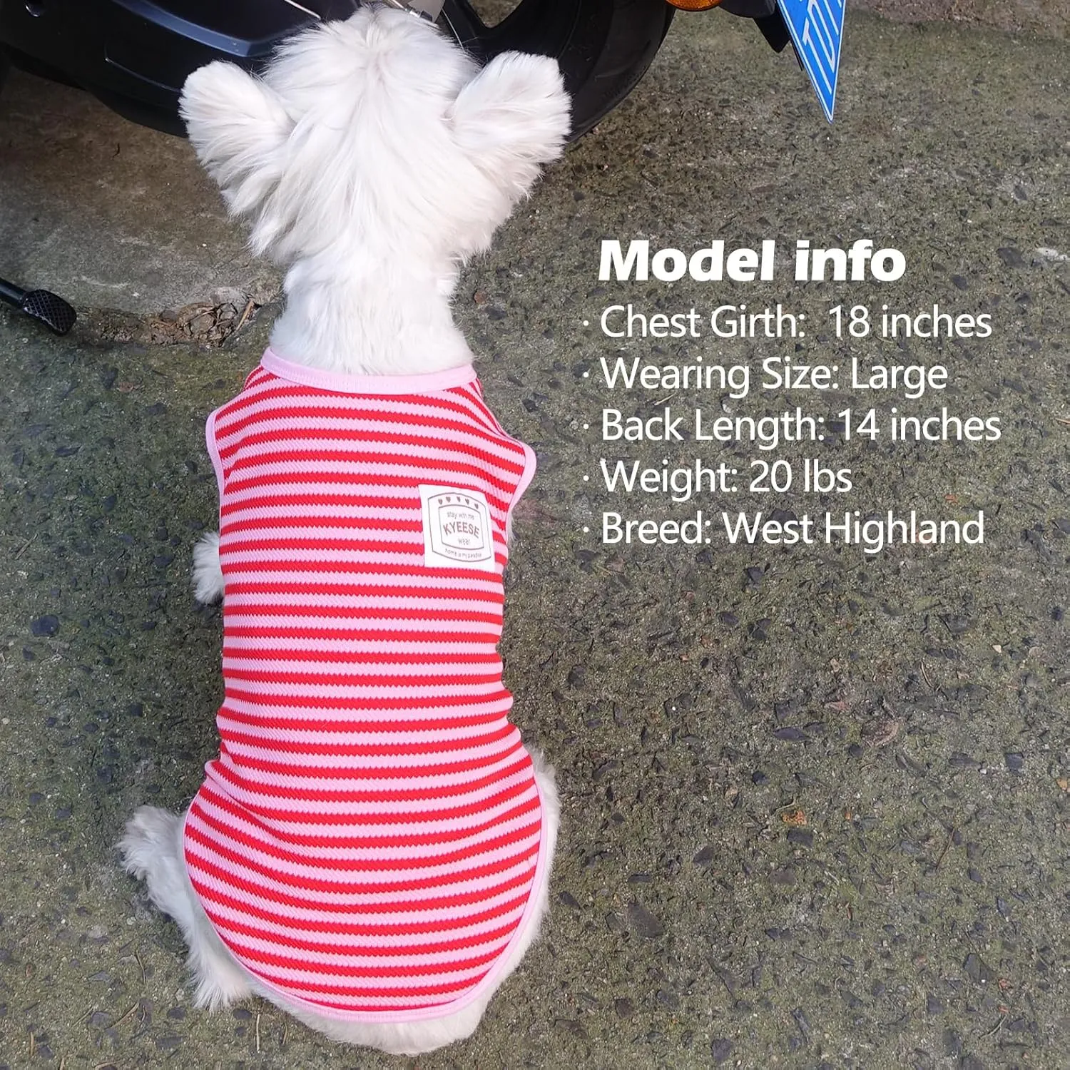 KYEESE 2Pack Dog Shirts Striped for Small Dogs Soft Stretchy Dog T-Shirts Lightweight Tank Top Sleeveless Vest Breathable Pet Apparel, Large, Green Pink