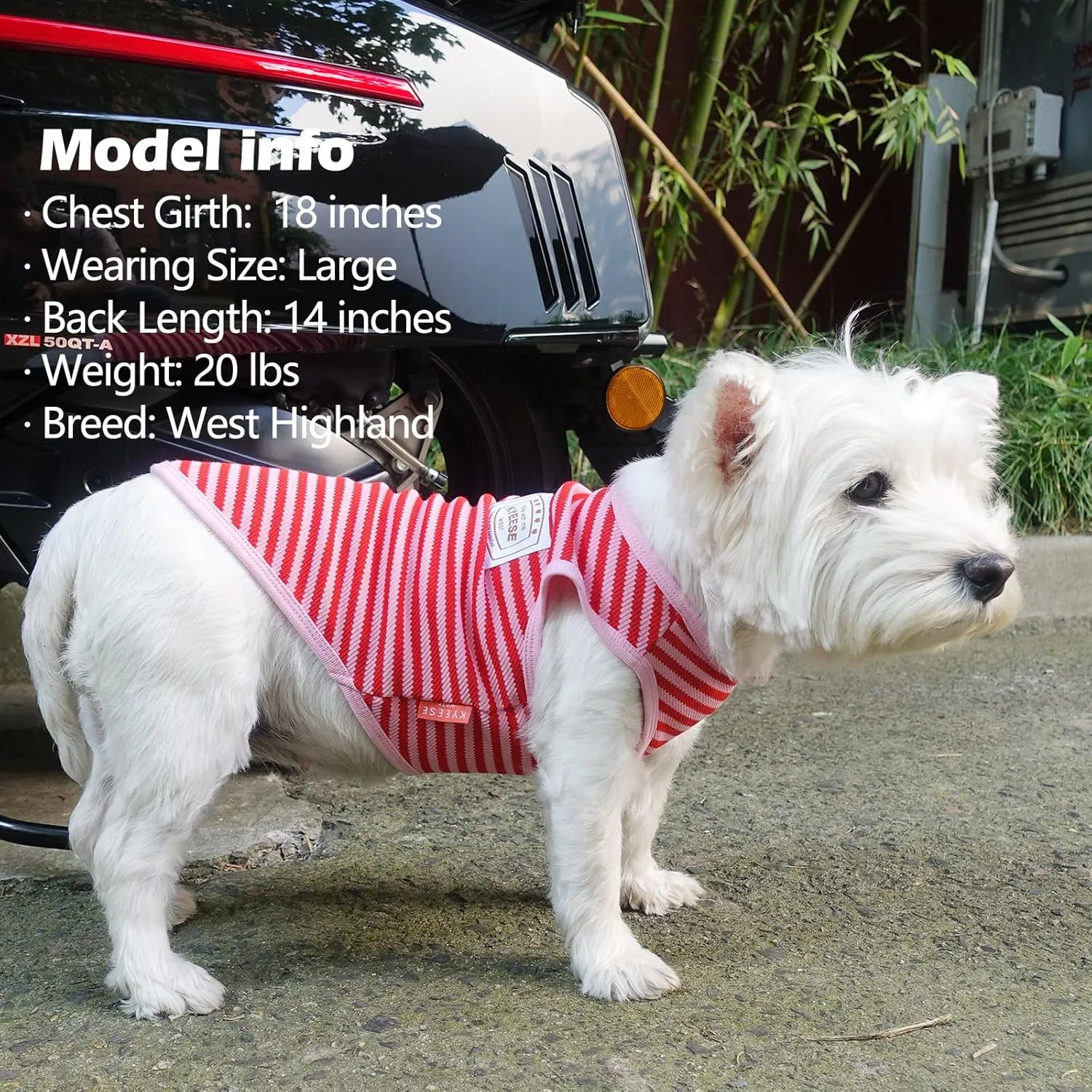 KYEESE 2Pack Dog Shirts Striped for Small Dogs Soft Stretchy Dog T-Shirts Lightweight Tank Top Sleeveless Vest Breathable Pet Apparel, Large, Green Pink