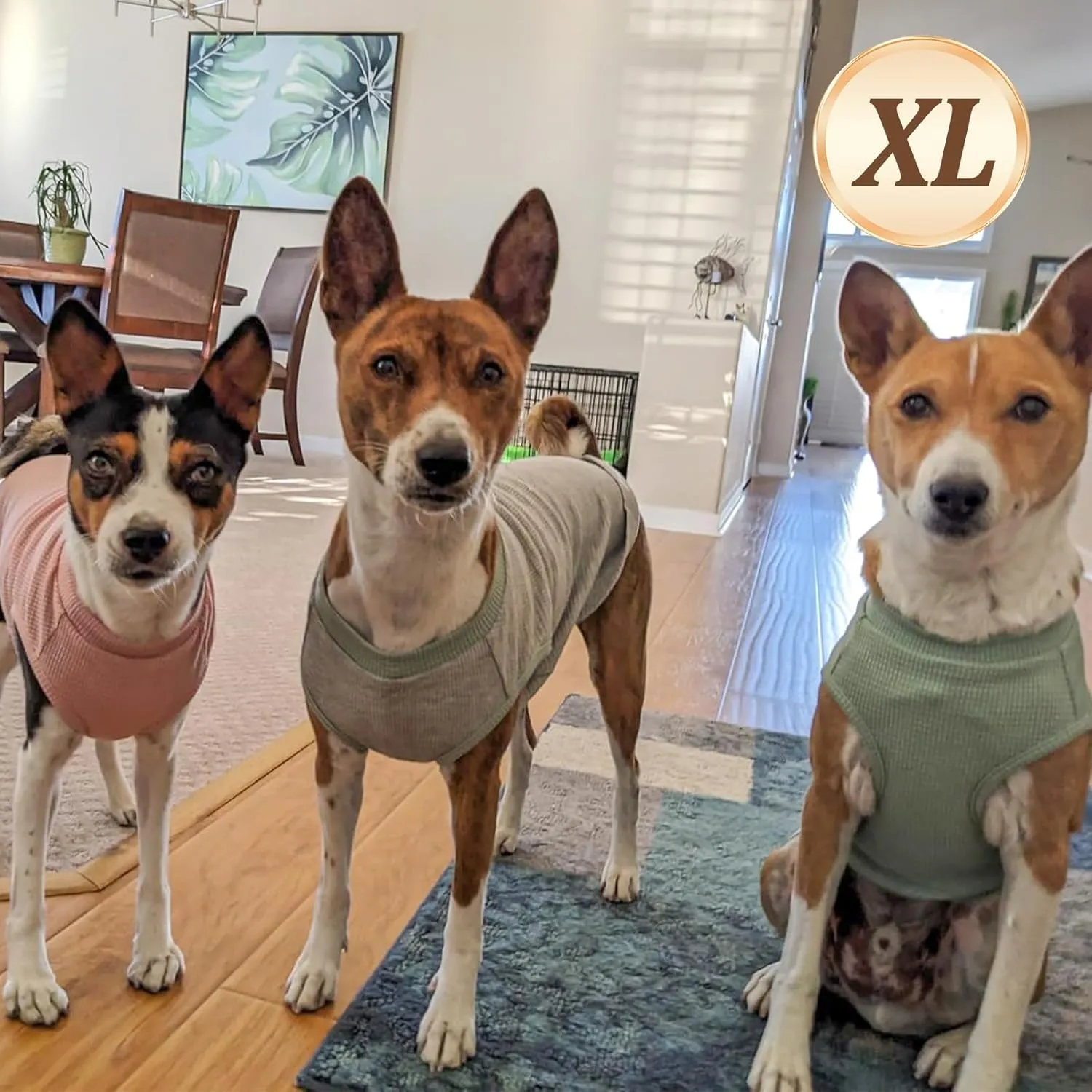 KYEESE 2Pack Dog Shirts Waffle for Small Dogs Stretchy Dog T-Shirts Lightweight Dogs Tank Top Sleeveless Pet Vest Breathable, X-Large, Purple Grey