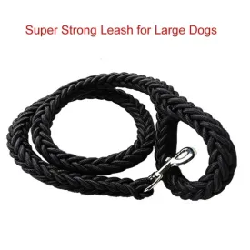 Mountain Climb Dog Leash