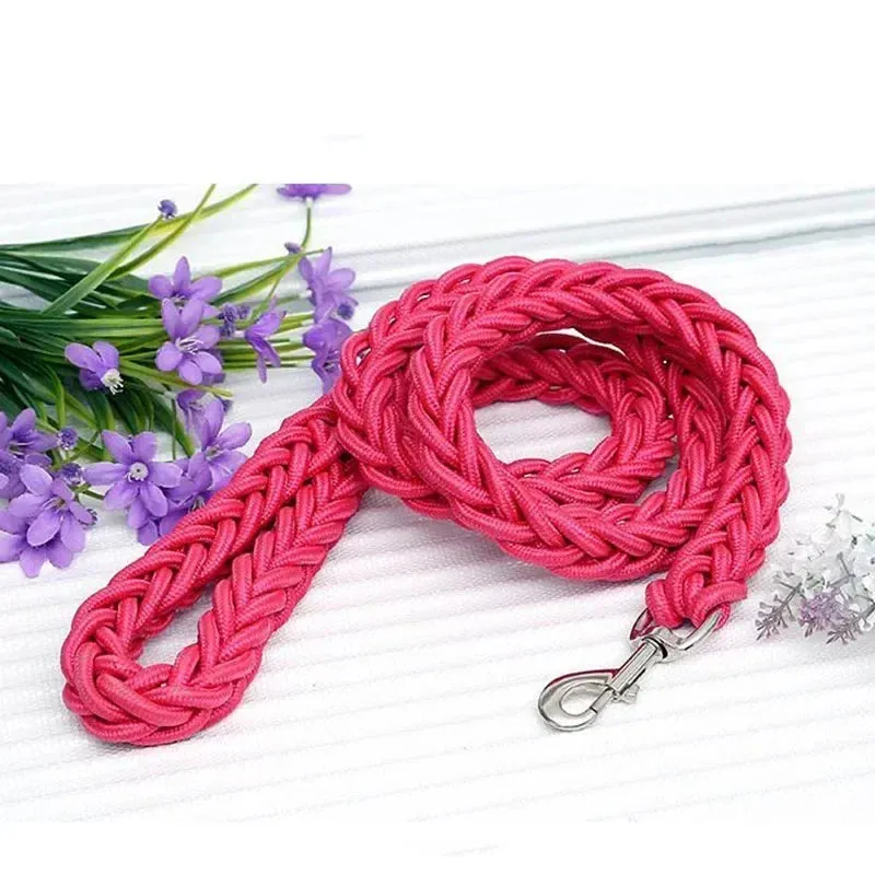 Mountain Climb Dog Leash
