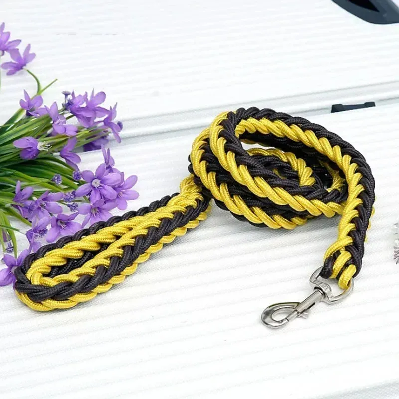 Mountain Climb Dog Leash