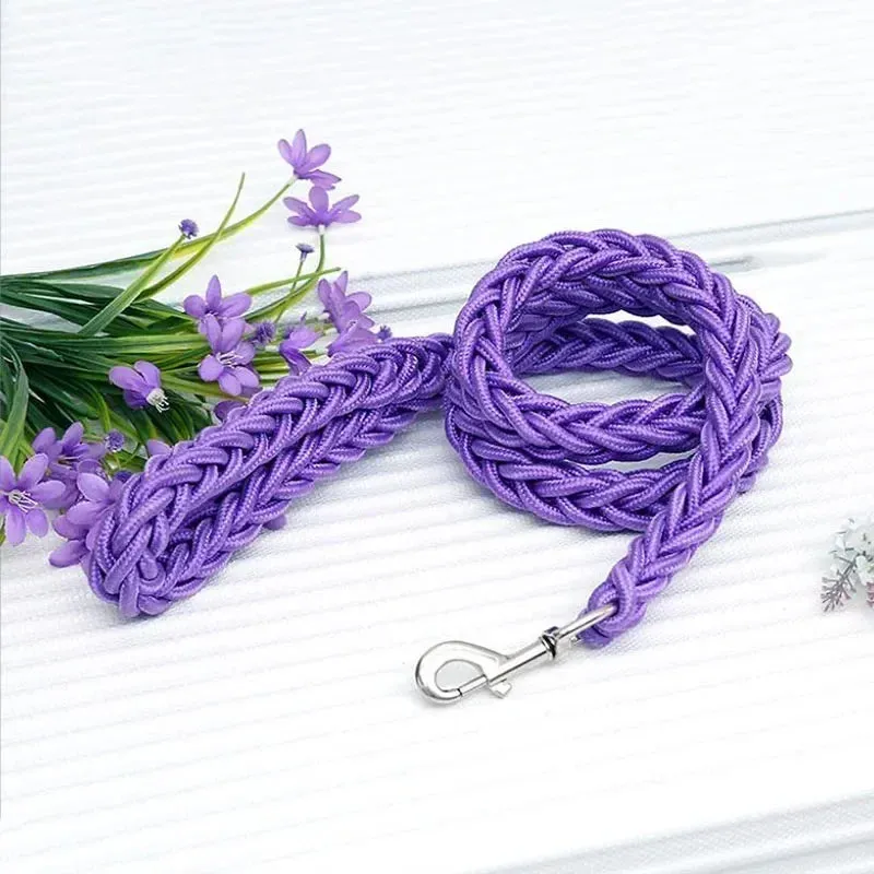 Mountain Climb Dog Leash
