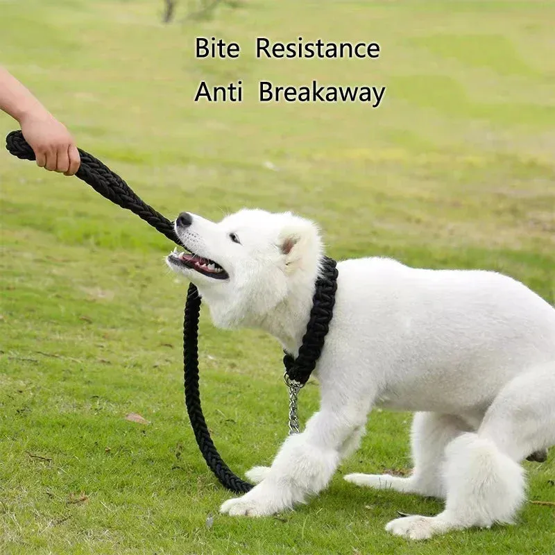 Mountain Climb Dog Leash